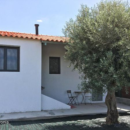 Casas Da Baronia Casa Catarina Villa Vila Nova da Baronia Kültér fotó